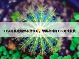 T1训练赛成绩并不是很好，想再次对阵TES完成复仇