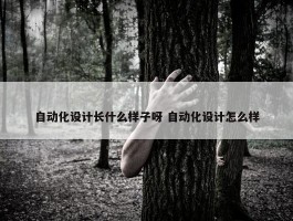 自动化设计长什么样子呀 自动化设计怎么样