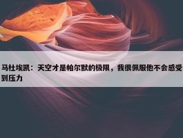 马杜埃凯：天空才是帕尔默的极限，我很佩服他不会感受到压力