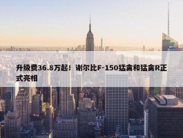 升级费36.8万起！谢尔比F-150猛禽和猛禽R正式亮相