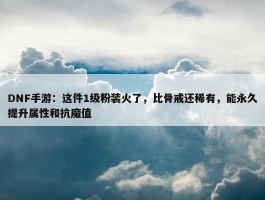 DNF手游：这件1级粉装火了，比骨戒还稀有，能永久提升属性和抗魔值