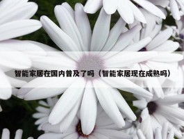 智能家居在国内普及了吗（智能家居现在成熟吗）