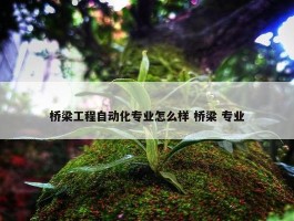 桥梁工程自动化专业怎么样 桥梁 专业