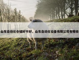 山东自动化仓储好不好，山东自动化设备有限公司有哪些