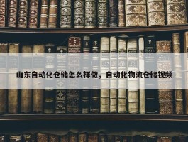 山东自动化仓储怎么样做，自动化物流仓储视频