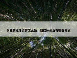 创业新媒体运营怎么做，新媒体创业有哪些方式