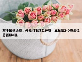 对手因伤退赛，丹麦羽毛球公开赛：王祉怡2-0胜金佳恩晋级8强