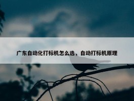 广东自动化打标机怎么选，自动打标机原理