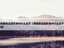 新媒体运营职务叫什么名字（新媒体运营职务叫什么名字呢）