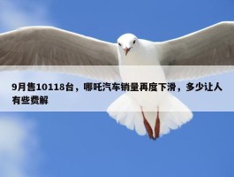 9月售10118台，哪吒汽车销量再度下滑，多少让人有些费解