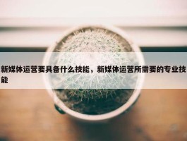 新媒体运营要具备什么技能，新媒体运营所需要的专业技能