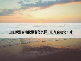 山东微型自动化设备怎么样，山东自动化厂家