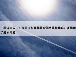 三国谋定天下：你见过东吴都督全部出重骑兵吗？还爆锤了赵云马超