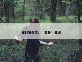 支付宝微信，“瓜分”县城