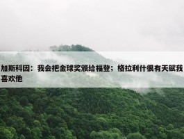 加斯科因：我会把金球奖颁给福登；格拉利什很有天赋我喜欢他