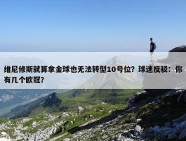 维尼修斯就算拿金球也无法转型10号位？球迷反驳：你有几个欧冠？