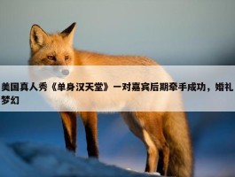 美国真人秀《单身汉天堂》一对嘉宾后期牵手成功，婚礼梦幻