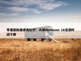 苹果新机需求亮红灯：大摩称iPhone 16交货时间下降