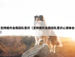 怎样提升自我团队意识（怎样提升自我团队意识心得体会）