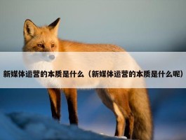 新媒体运营的本质是什么（新媒体运营的本质是什么呢）