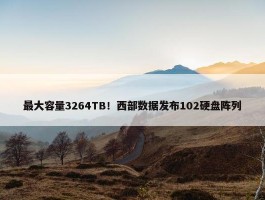 最大容量3264TB！西部数据发布102硬盘阵列