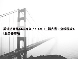 英伟达竞品AI芯片来了？AMD三箭齐发，全线围攻AI服务器市场