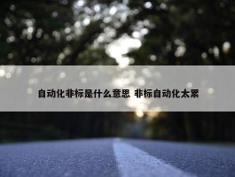 自动化非标是什么意思 非标自动化太累