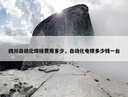 四川自动化焊接费用多少，自动化电焊多少钱一台