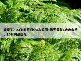 麻烦了？23岁印尼归化8次解围+锁死曼联6大攻击手，10月将战国足