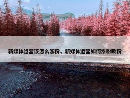 新媒体运营该怎么涨粉，新媒体运营如何涨粉吸粉