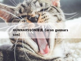 GUNNARSSON球员（aron gunnarsson）