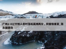 广州2-0辽宁铁人暂时落后英博两分，阿雷格里亚_张志雄建功