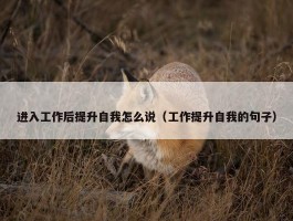 进入工作后提升自我怎么说（工作提升自我的句子）