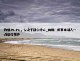 数值39.1%，仅次于凯尔特人_鹈鹕！新赛季湖人一点值得期待