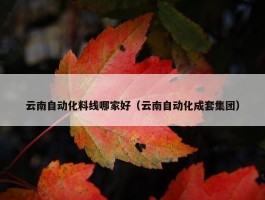 云南自动化料线哪家好（云南自动化成套集团）