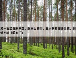 又一古装喜剧来袭，赵本山领衔，王小利葛珊珊坐镇，剧情不输《鹊刀门》