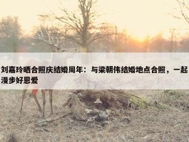 刘嘉玲晒合照庆结婚周年：与梁朝伟结婚地点合照，一起漫步好恩爱