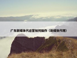 广东新媒体代运营如何操作（新媒体代理）