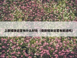 上新媒体运营有什么好处（做新媒体运营有前途吗）