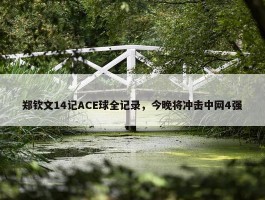 郑钦文14记ACE球全记录，今晚将冲击中网4强