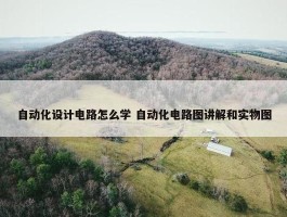 自动化设计电路怎么学 自动化电路图讲解和实物图