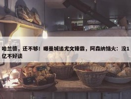 哈兰德，还不够！曝曼城追尤文锋霸，阿森纳恼火：没1亿不好谈