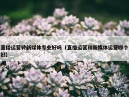 直播运营转新媒体专业好吗（直播运营和新媒体运营哪个好）