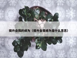 提升自我的修为（提升自我修为是什么意思）