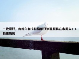 一致看好，内维尔和卡拉格都预测曼联将在本周末2-1战胜热刺