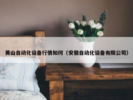 黄山自动化设备行情如何（安徽自动化设备有限公司）