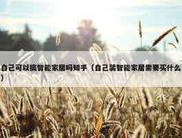 自己可以搞智能家居吗知乎（自己装智能家居需要买什么）