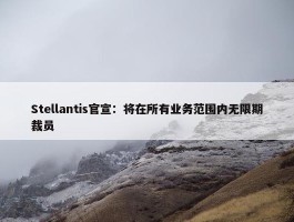 Stellantis官宣：将在所有业务范围内无限期裁员