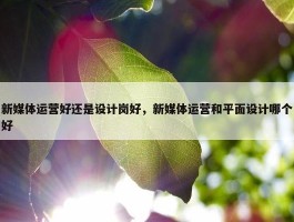 新媒体运营好还是设计岗好，新媒体运营和平面设计哪个好