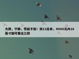 大屏，宁静，性能不俗！双11选本，4000元内16英寸版可看这三款